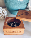 Bandicoot Staple Timber Jewellery Box